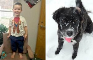 Boy And His Dog Abandoned By Mother Two Days Before Christmas Boy and his dog abandoned right before Christmas