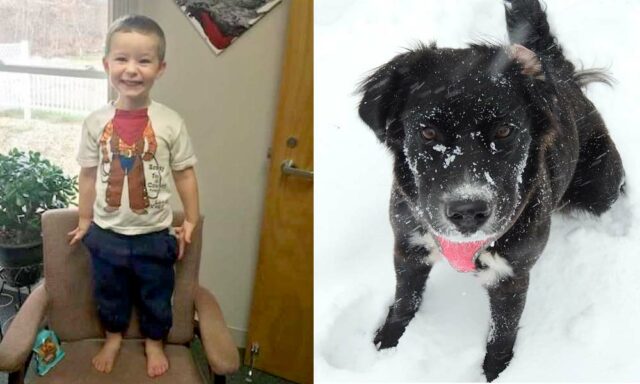 Boy and his dog abandoned right before Christmas