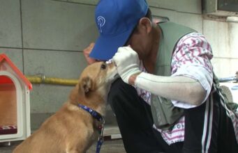 Dog Reunites With His Dad After A Housefire Took Them Away From Each Other Ddol reunited with his dad after a house fire
