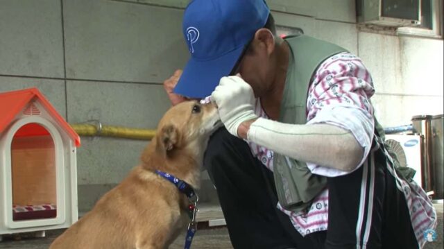 Ddol reunited with his dad after a house fire