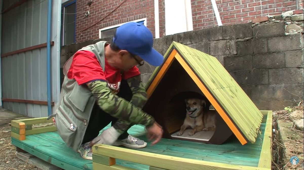 puppy finds his dad after a house fire