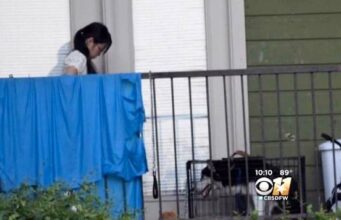 Concerned Dallas Lady’s Plea For Help Goes Viral, Leads To The Rescue Of 13 Dogs And Cats 13 Cats and Dogs Rescued and Given New Homes