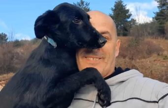 People Chased Her Away Because Of Her Looks, When She Got The Help She Needed, She Became A Stunning Dog Nieve Finally Found Someone to Love Her