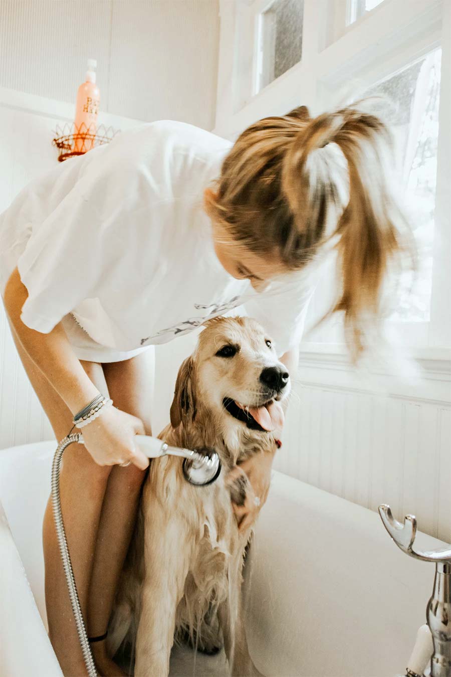 dog dandruff after bath