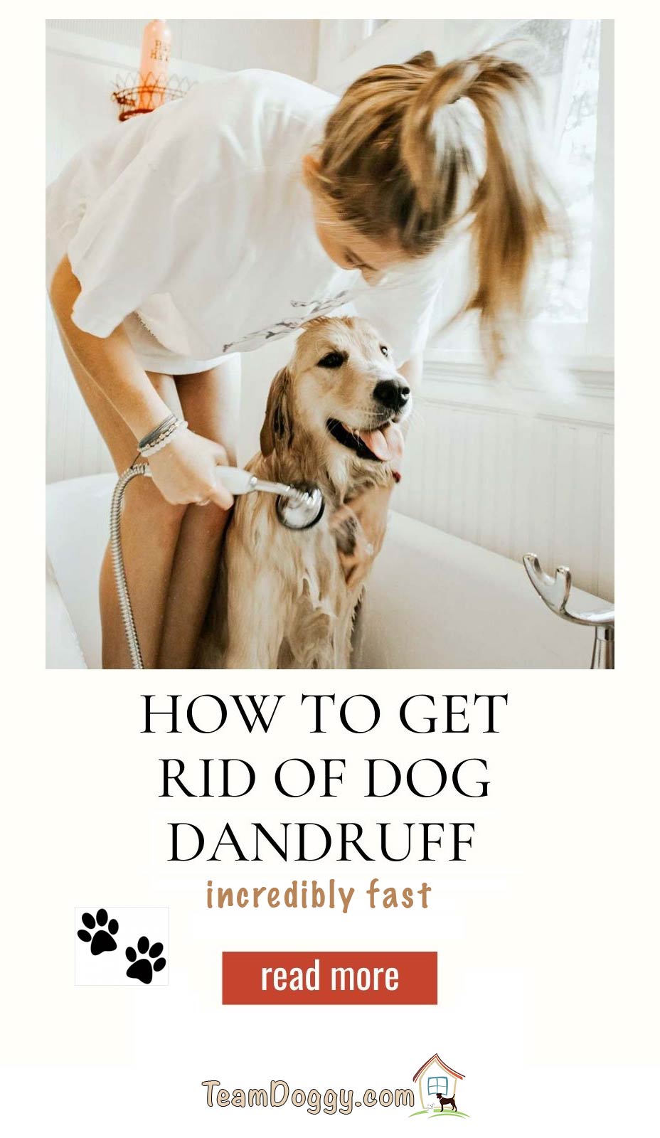 dog dandruff treatment options
