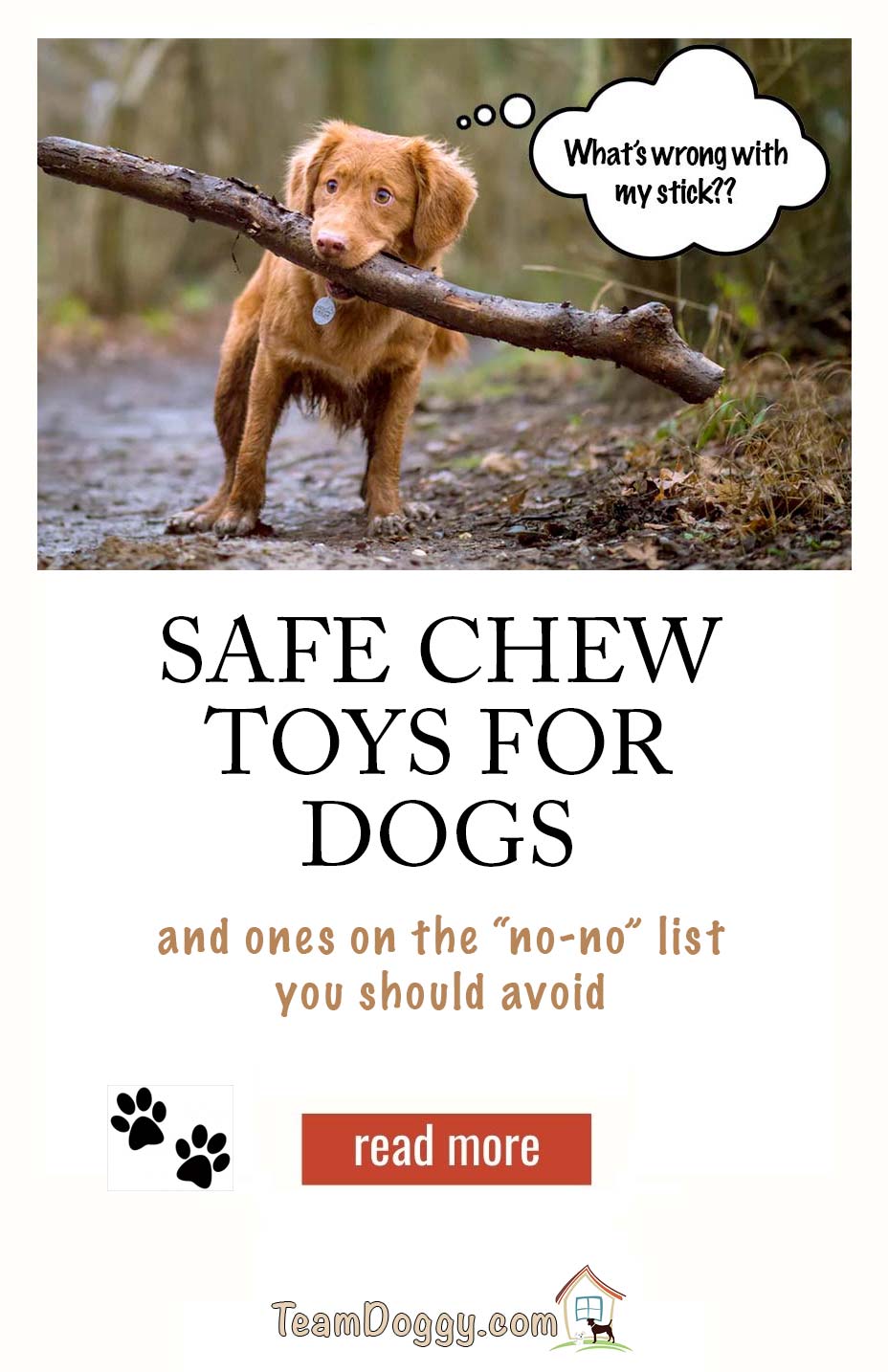 safe chew toys for dogs and some to avoid