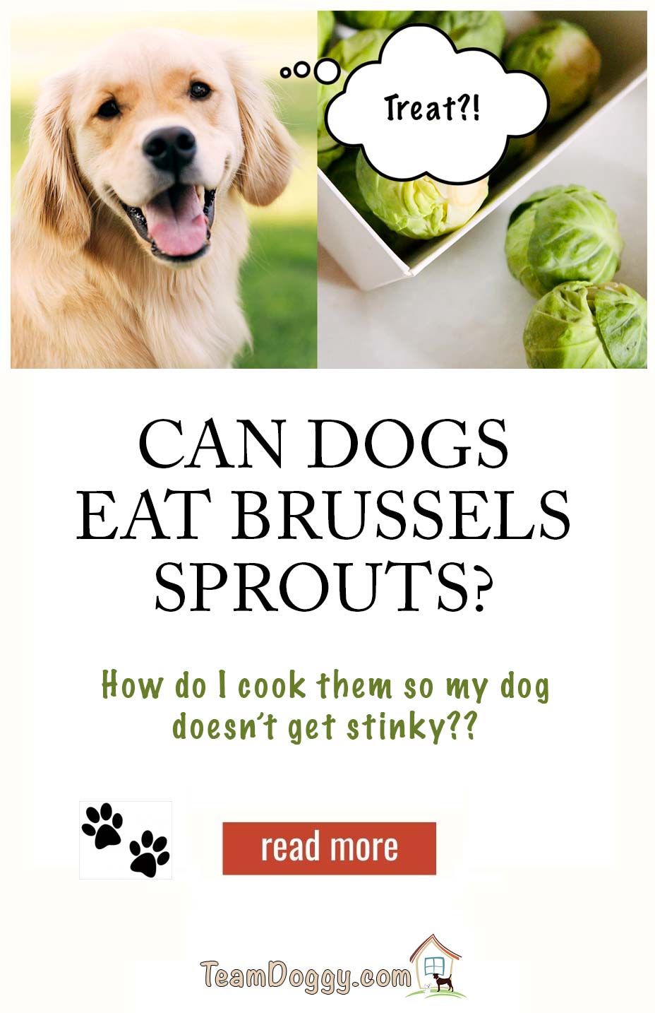 can dogs eat brussel sprouts