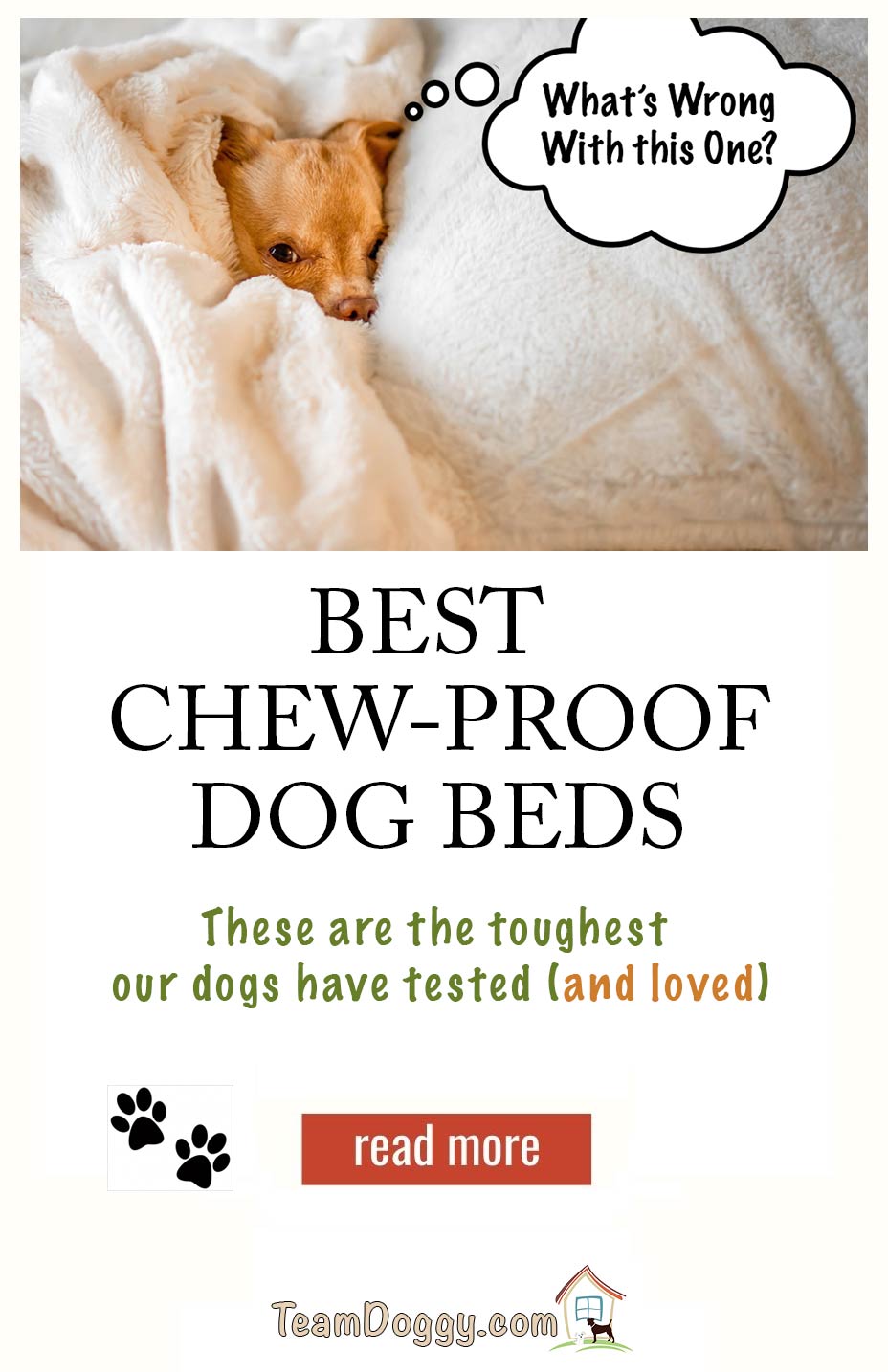 best chew-proof dog beds for chewers