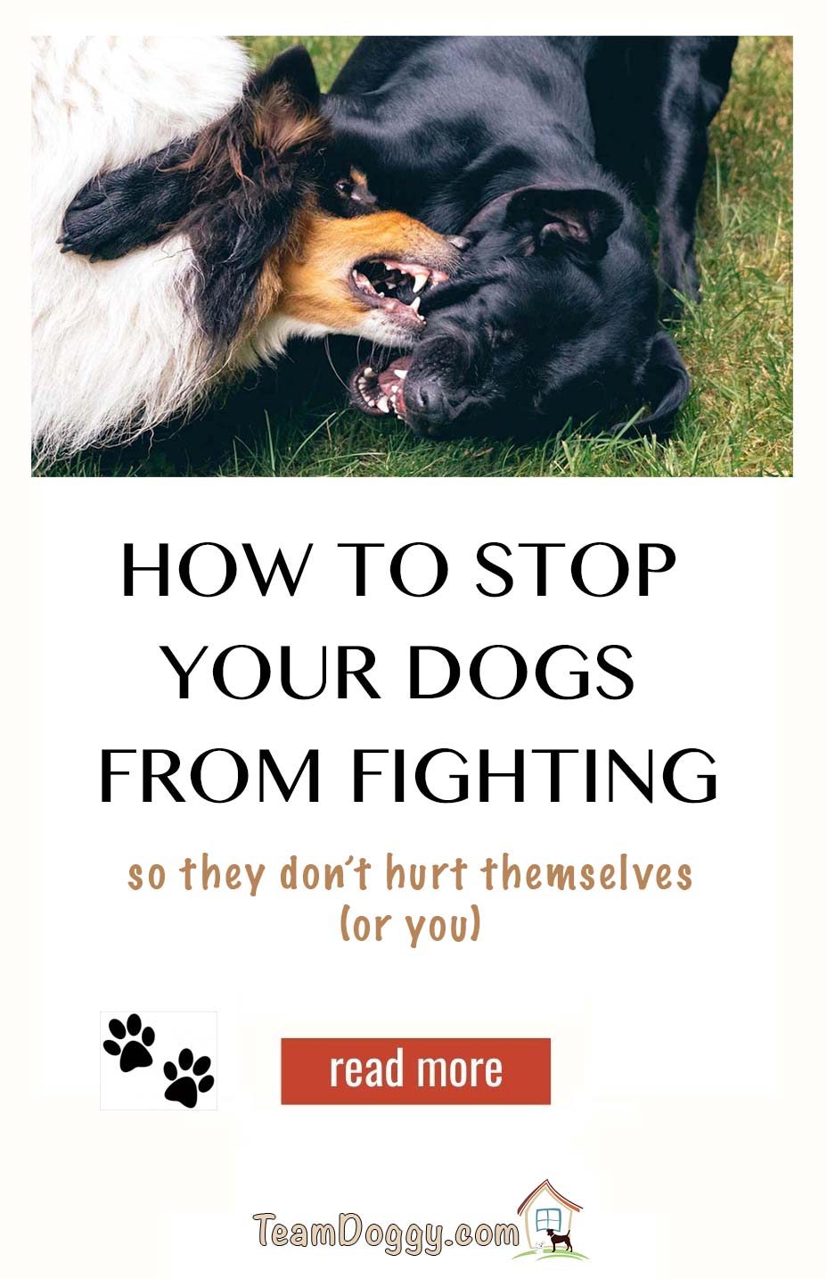 simple tips to help you stop your dogs from fighting
