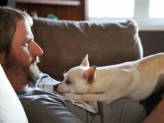 A New Puppy Wins Over A Dad Who Didn’t Want Another Pet dad said no to dogs Non dog lover falls in love with a new puppy