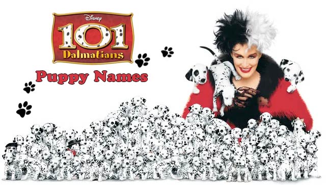 101 Dalmatians Dogs Names