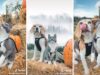 The Cutest Photo Shoot Ever: Cat And Dog Best Friends In A Pumpkin Patch Dog and Cat Photo Shoot at the Pumpkin Patch