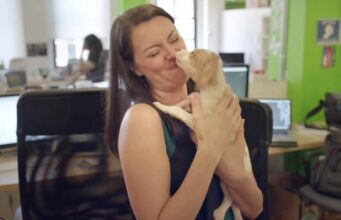 Surprise Doggy Day! Watch This Office Be Taken Over By Puppies Dogswell surprises office with doggy day
