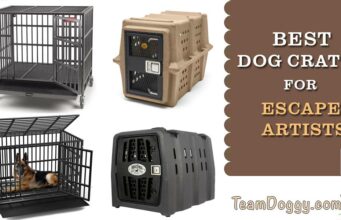 Best Dog Crate for Escape Artists – Safe and Indestructible Best Dog Crates for Escape Artists