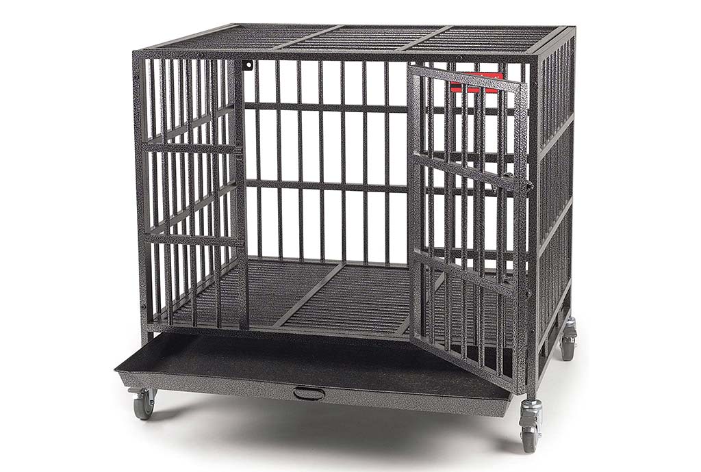 Best Rated ProSelect Empire Dog Cage