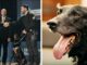 US Secret Service Special Operations Dog Honored For Stopping An Intruder Secret Service dog Hurricane awarded for his service protecting the president