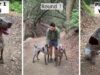 And They’re Off! Watch This German Short-Haired Pointer Show Everyone He’s Mr. Speedy Haki and Walle Race to Show Who's Fastest