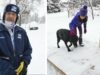 A Mailman Gives A Senior Lab A Gift That Takes Everyone By Surprise Mail Man Builds Ramp for a Family with a Senior Dog