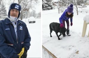 A Mailman Gives A Senior Lab A Gift That Takes Everyone By Surprise Mail Man Builds Ramp for a Family with a Senior Dog