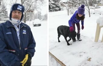 A Mailman Gives A Senior Lab A Gift That Takes Everyone By Surprise Mail Man Builds Ramp for a Family with a Senior Dog