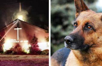 A Quick-Thinking German Shepherd Prevents A Church From Burning Down German Shepherd Saves a Church from a Devastating Fire