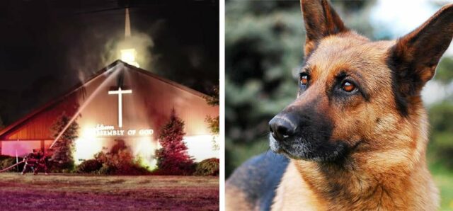 German Shepherd Saves a Church from a Devastating Fire