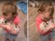 A Toddler And Charming Golden Retriever Pups Show You What Innocence Is All About Toddler and Golden Retriever Puppies are Too Cute