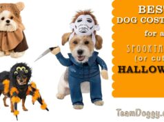 Best Dog Costumes for a Cute or Scaretastic Halloween 2022 These are some of the best dog costumes this Halloween