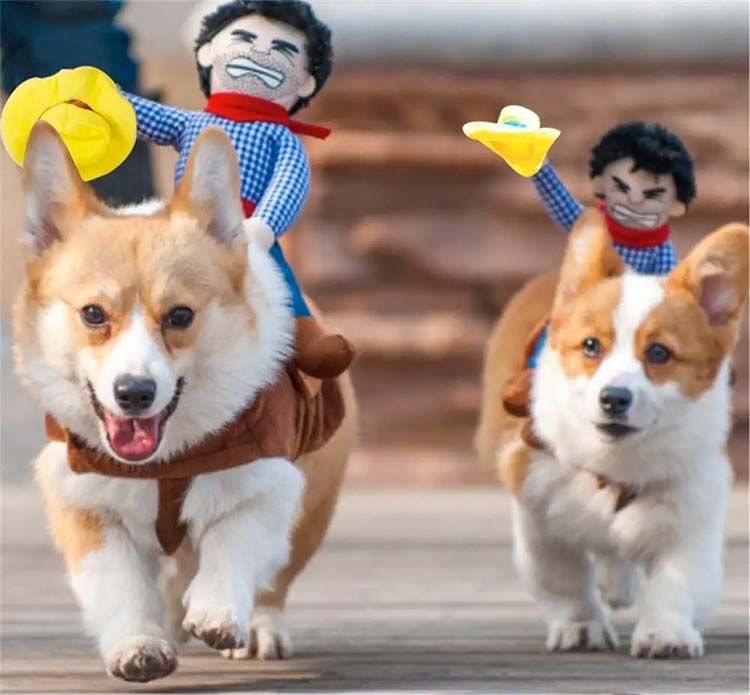 Creative cowboy riding your dog costume