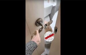 Stop Embarrassing Me Mom! French Bulldog Caught in the Act, And Her Expression is Epic French bulldog embarrased on the potty
