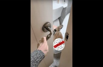 Stop Embarrassing Me Mom! French Bulldog Caught in the Act, And Her Expression is Epic French bulldog embarrased on the potty