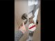 Stop Embarrassing Me Mom! French Bulldog Caught in the Act, And Her Expression is Epic French bulldog embarrased on the potty