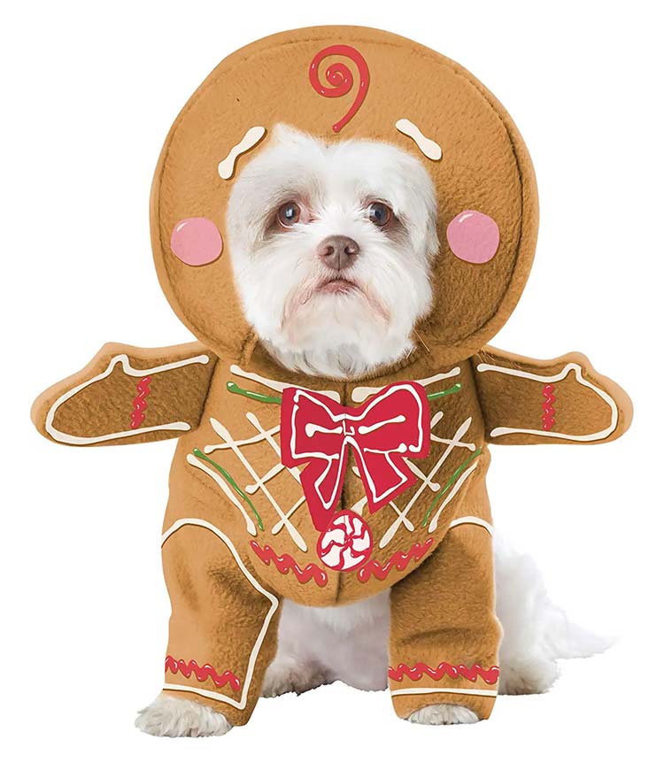 Gingerbread dog costume for Halloween