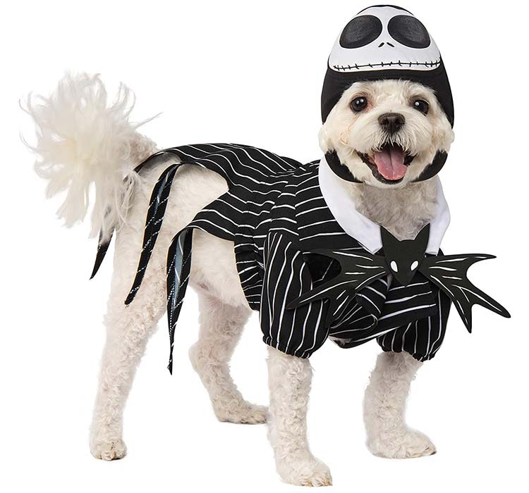 Jack Skellington dog costume from Nightmare Before Christmas