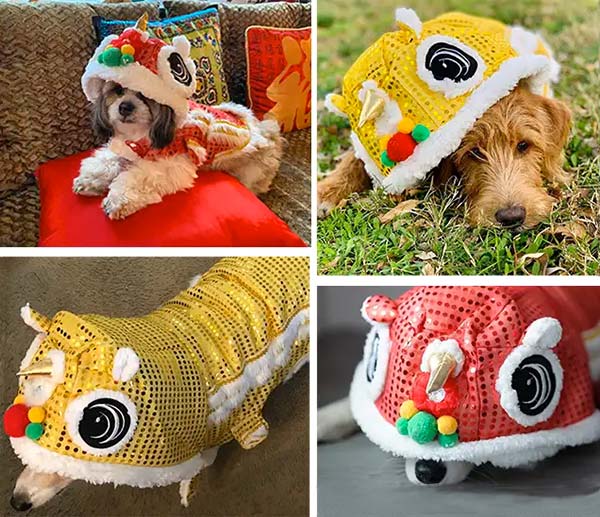 Chinese Lion Dance dog costume for Chinese New Year