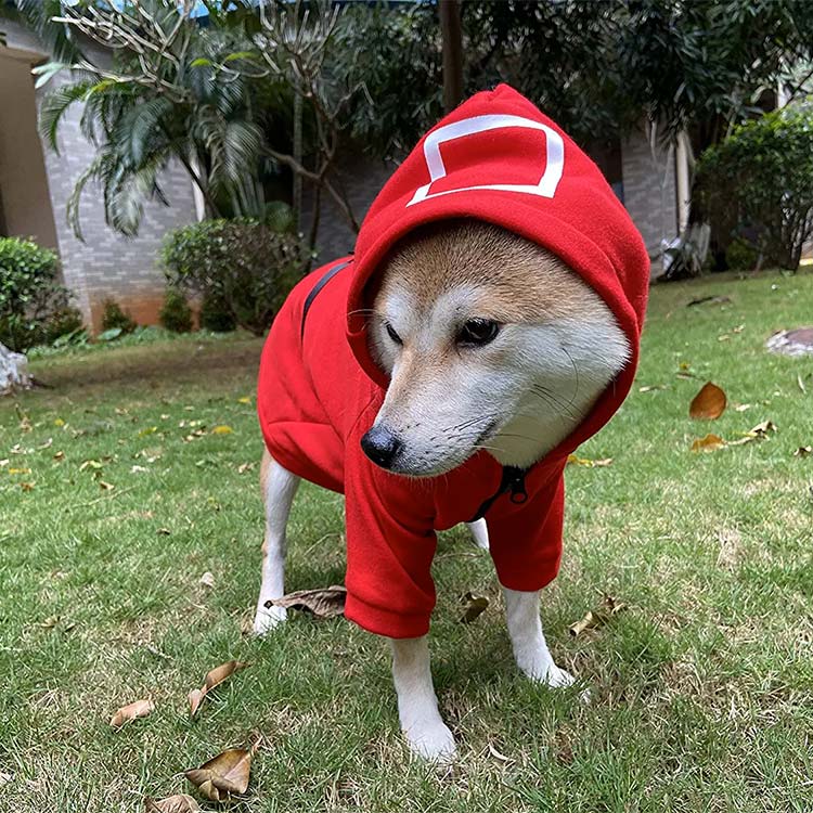 Squid Games dog costume