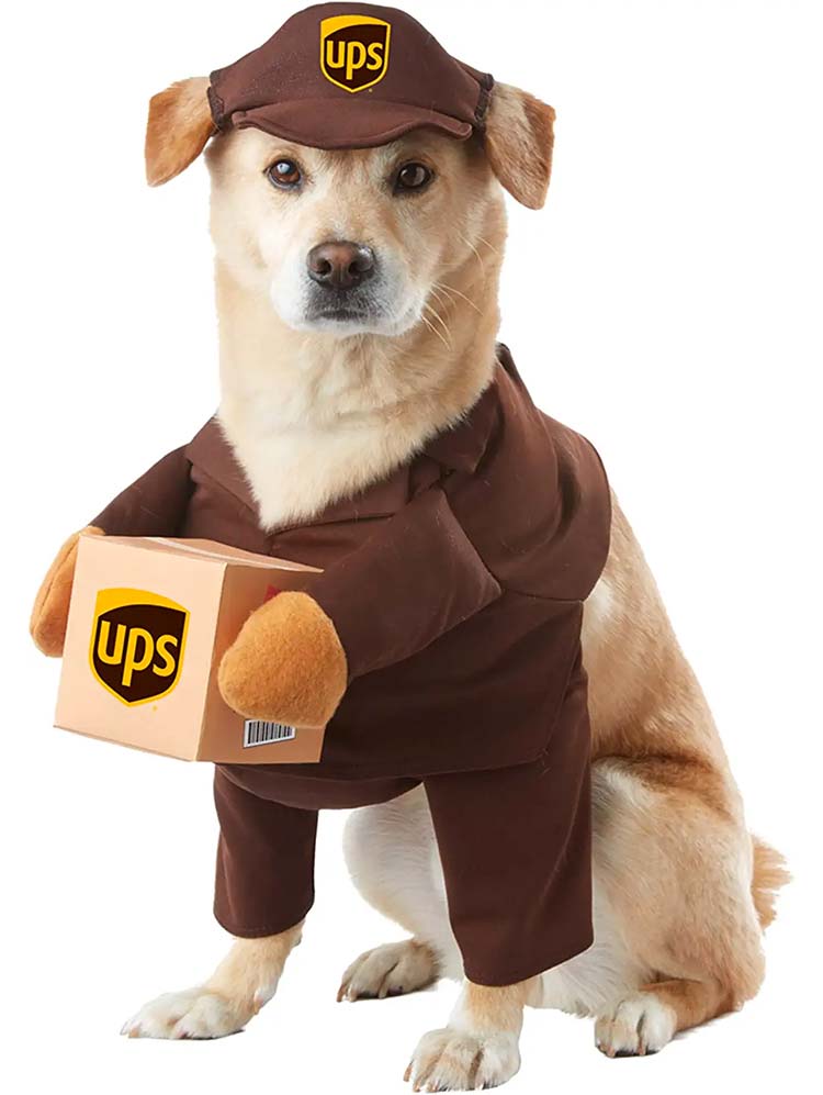 UPS driver cute dog costume