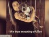 Pit Bull With Rare Condition Gets Rescued And Taught To Walk, His Story Is Proof That There Is Still Good In This World Wonderful life of jack dog rescue