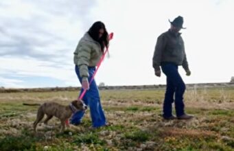 Puppy Born With Swimmer’s Syndrome Learns To Walk, And Finds A Home Surrounded By Hundreds Of Acres Of Land Where He Can Run Around