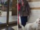 Loyal Dog Patiently Waits Outside The Hospital For Six Days For Its Owner Dog waits outside hospital for her owner