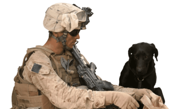 Reunited After Years Apart, A Soldier And His Canine Companion Whom He Considered His Best Friend Are Together Again