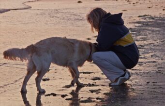 For The First Time, A Blind Woman Is Able To See Her Guide Dog