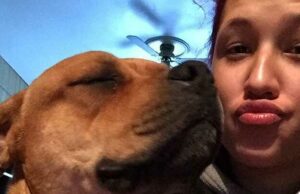 Owner Searches Sites To Adopt A Pet And Finds Dog She Lost Over Two Years Ago aisha nieves finds her old dog two years later