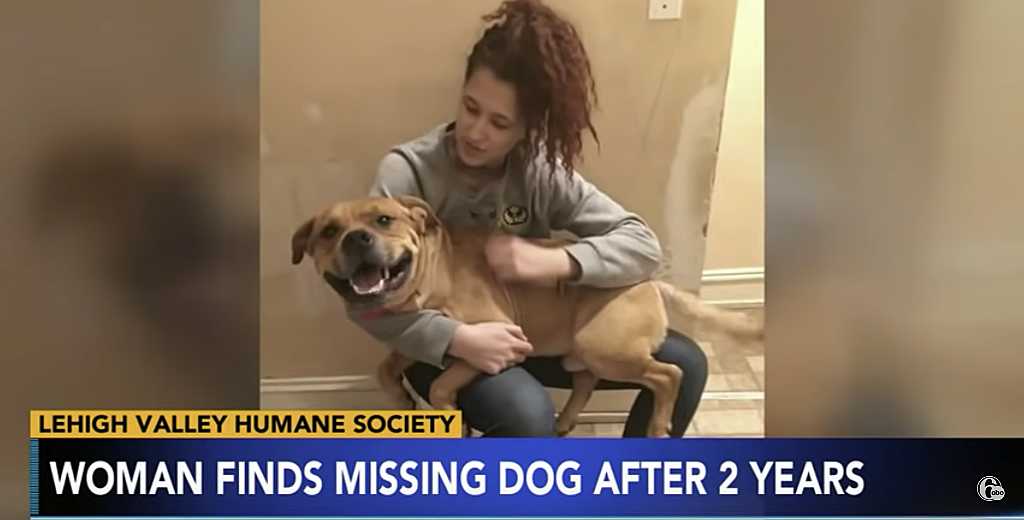 woman finds missing dog after two years